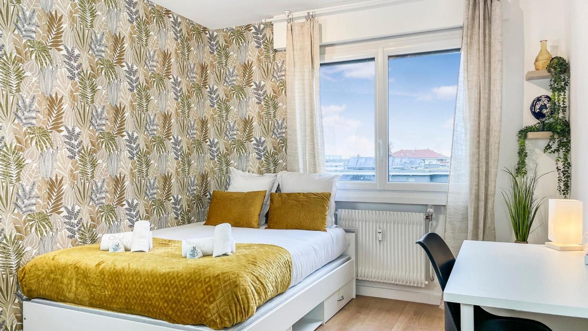 Homey La Coloc Mugi - Colocation Haut De Gamme - Chambres Privees - Balcon - Wifi Et Netflix - Proche Transports Commun Annemasse Buitenkant foto